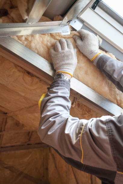Best Insulation Maintenance and Repair in Amherst, VA
