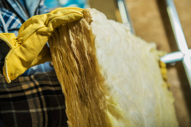 Best Residential Insulation in Amherst, VA